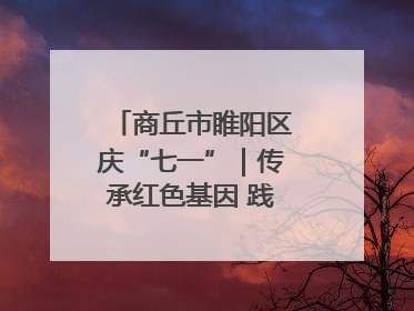 商丘市睢阳区庆“七一”｜传承红色基因 践行初心使命