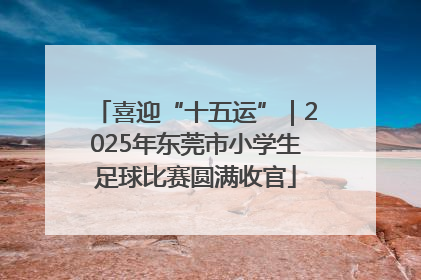 喜迎“十五运”｜2025年东莞市小学生足球比赛圆满收官