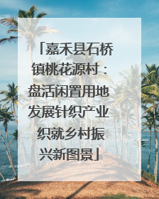 嘉禾县石桥镇桃花源村：盘活闲置用地发展针织产业 织就乡村振兴新图景