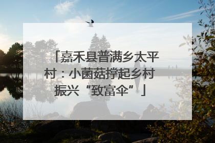 嘉禾县普满乡太平村：小菌菇撑起乡村振兴“致富伞”