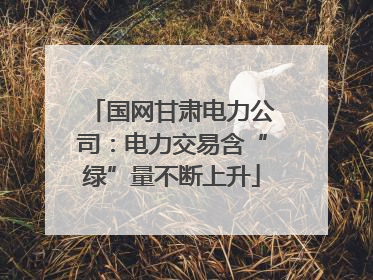 国网甘肃电力公司：电力交易含“绿”量不断上升