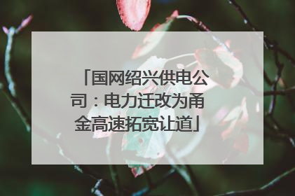 国网绍兴供电公司：电力迁改为甬金高速拓宽让道