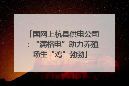 国网上杭县供电公司：“满格电”助力养殖场生“鸡”勃勃