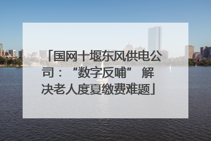 国网十堰东风供电公司：“数字反哺” 解决老人度夏缴费难题