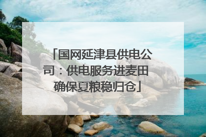 国网延津县供电公司：供电服务进麦田 确保夏粮稳归仓