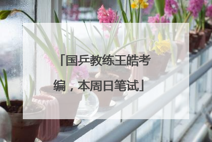 国乒教练王皓考编，本周日笔试