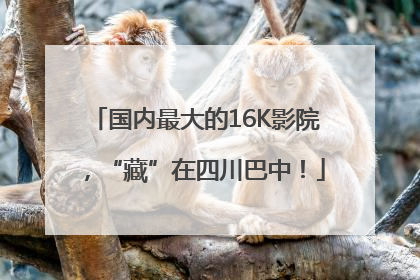 国内最大的16K影院，“藏”在四川巴中！