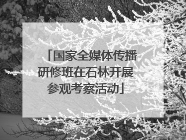 国家全媒体传播研修班在石林开展参观考察活动