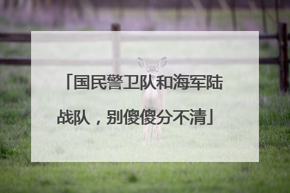 国民警卫队和海军陆战队，别傻傻分不清