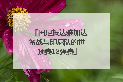 国足抵达雅加达备战与印尼队的世预赛18强赛