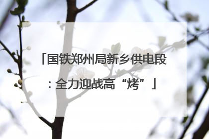 国铁郑州局新乡供电段：全力迎战高“烤”