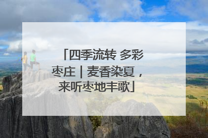 四季流转 多彩枣庄｜麦香染夏，来听枣地丰歌