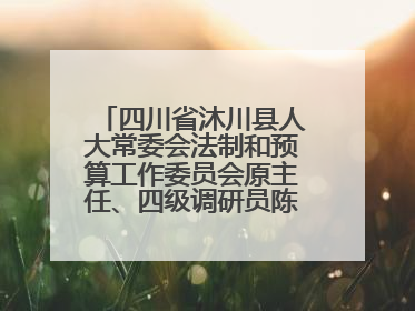 四川省沐川县人大常委会法制和预算工作委员会原主任、四级调研员陈发智被“双开”