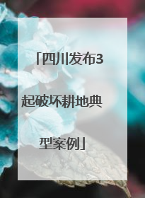 四川发布3起破坏耕地典型案例