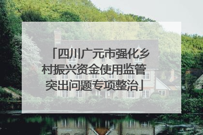 四川广元市强化乡村振兴资金使用监管突出问题专项整治