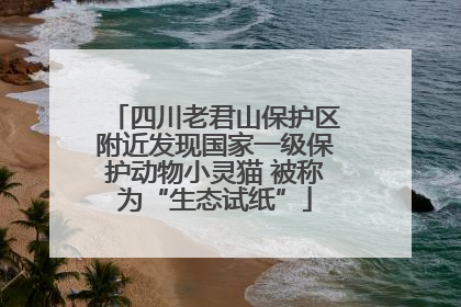 四川老君山保护区附近发现国家一级保护动物小灵猫 被称为“生态试纸”