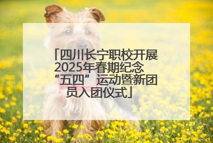 四川长宁职校开展2025年春期纪念“五四”运动暨新团员入团仪式