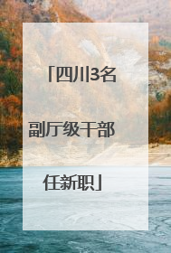 四川3名副厅级干部任新职