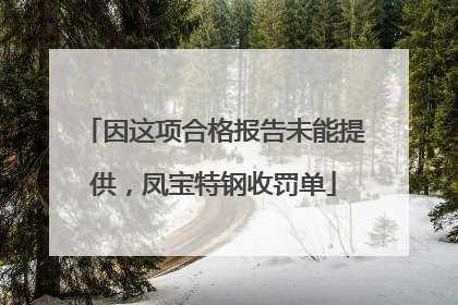 因这项合格报告未能提供，凤宝特钢收罚单
