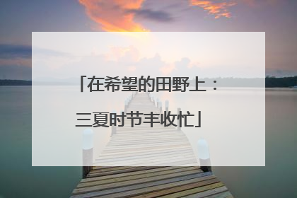 在希望的田野上：三夏时节丰收忙