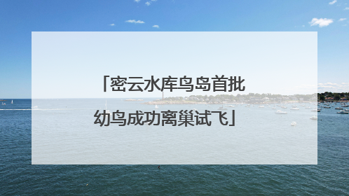 密云水库鸟岛首批幼鸟成功离巢试飞