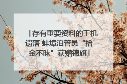 存有重要资料的手机遗落 蚌埠泊管员“拾金不昧”获赠锦旗