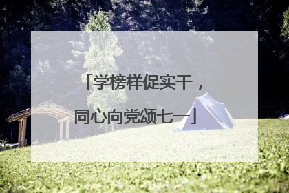 学榜样促实干，同心向党颂七一