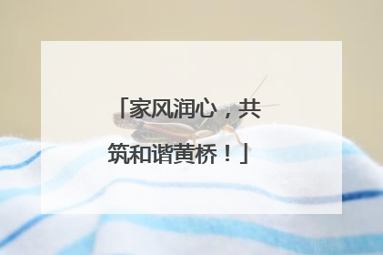 家风润心，共筑和谐黄桥！