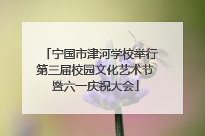 宁国市津河学校举行第三届校园文化艺术节暨六一庆祝大会