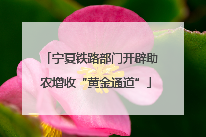 宁夏铁路部门开辟助农增收“黄金通道”