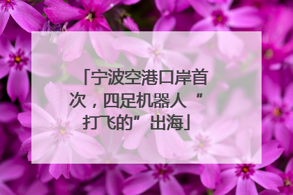 宁波空港口岸首次，四足机器人“打飞的”出海