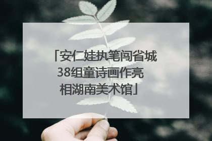 安仁娃执笔闯省城 38组童诗画作亮相湖南美术馆