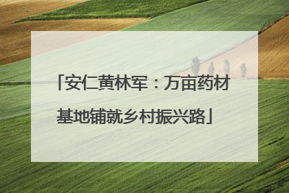 安仁黄林军：万亩药材基地铺就乡村振兴路