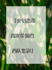 安切洛蒂首次带领巴西队集训