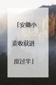 安徽小麦收获进度过半