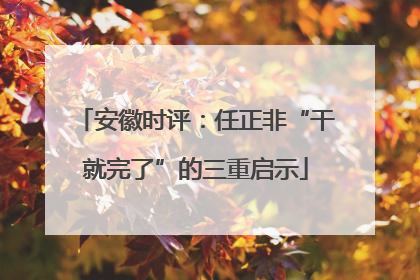 安徽时评：任正非“干就完了”的三重启示