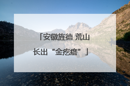 安徽旌德 荒山长出“金疙瘩”