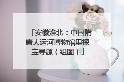 安徽淮北：中国隋唐大运河博物馆里探宝寻源（组图）