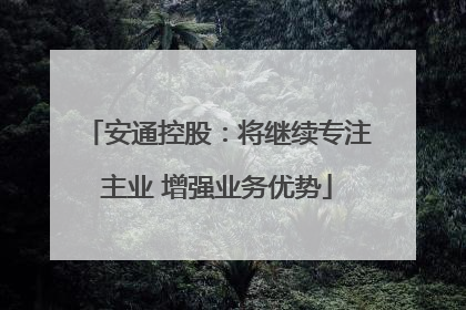 安通控股：将继续专注主业 增强业务优势