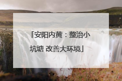安阳内黄：整治小坑塘 改善大环境