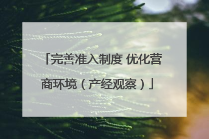 完善准入制度 优化营商环境（产经观察）