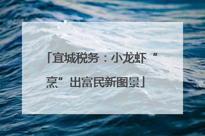 宜城税务：小龙虾“烹”出富民新图景