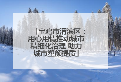 宝鸡市渭滨区：用心用情推动城市精细化治理 助力城市塑颜提质