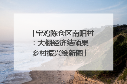 宝鸡陈仓区南阳村：大棚经济结硕果 乡村振兴绘新图