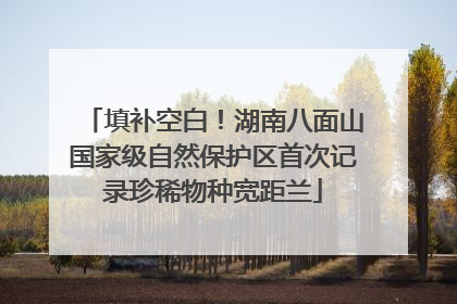 填补空白！湖南八面山国家级自然保护区首次记录珍稀物种宽距兰