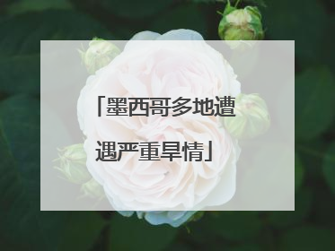 墨西哥多地遭遇严重旱情