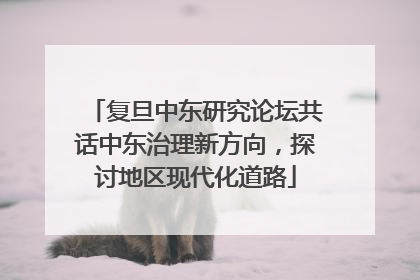 复旦中东研究论坛共话中东治理新方向，探讨地区现代化道路