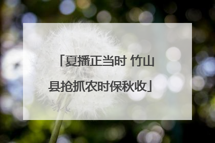 夏播正当时 竹山县抢抓农时保秋收