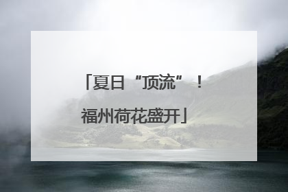 夏日“顶流”！福州荷花盛开