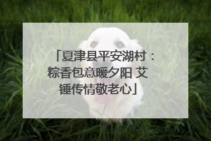 夏津县平安湖村：粽香包意暖夕阳 艾锤传情敬老心